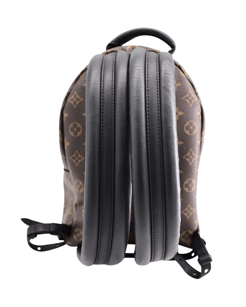 Louis Vuitton Monogram Palm Springs PM Backpack in Brown Coated Canvas - Barde - Image 2
