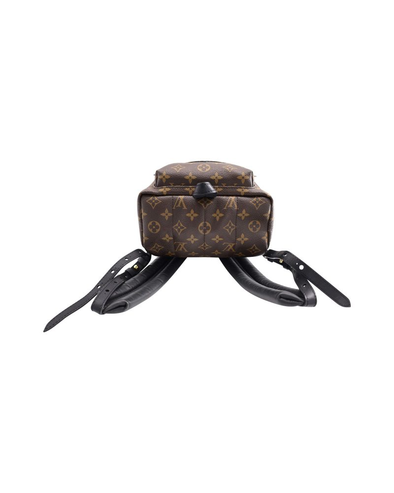 Louis Vuitton Monogram Palm Springs PM Backpack in Brown Coated Canvas - Barde - Image 4