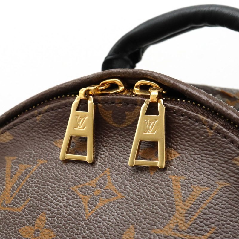 Louis Vuitton Monogram Palm Springs Backpack PM M41560 - Barde - Image 4