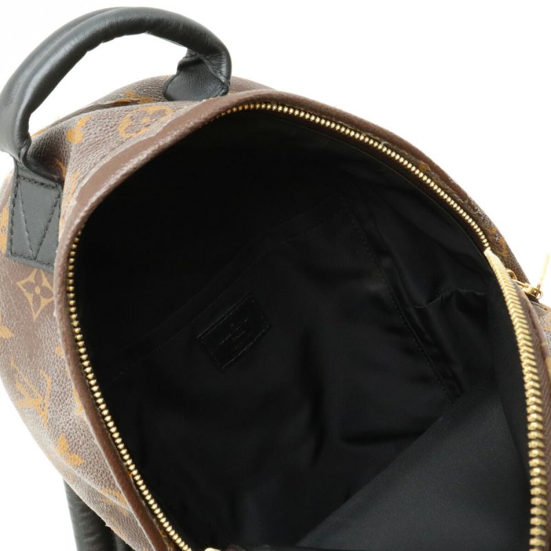 Louis Vuitton Monogram Palm Springs Backpack PM M41560 - Barde - Image 5