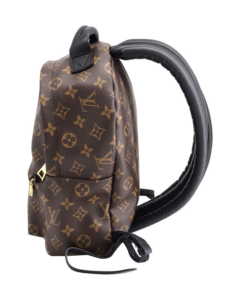 Louis Vuitton Monogram Palm Springs PM Backpack in Brown Coated Canvas - Barde - Image 3