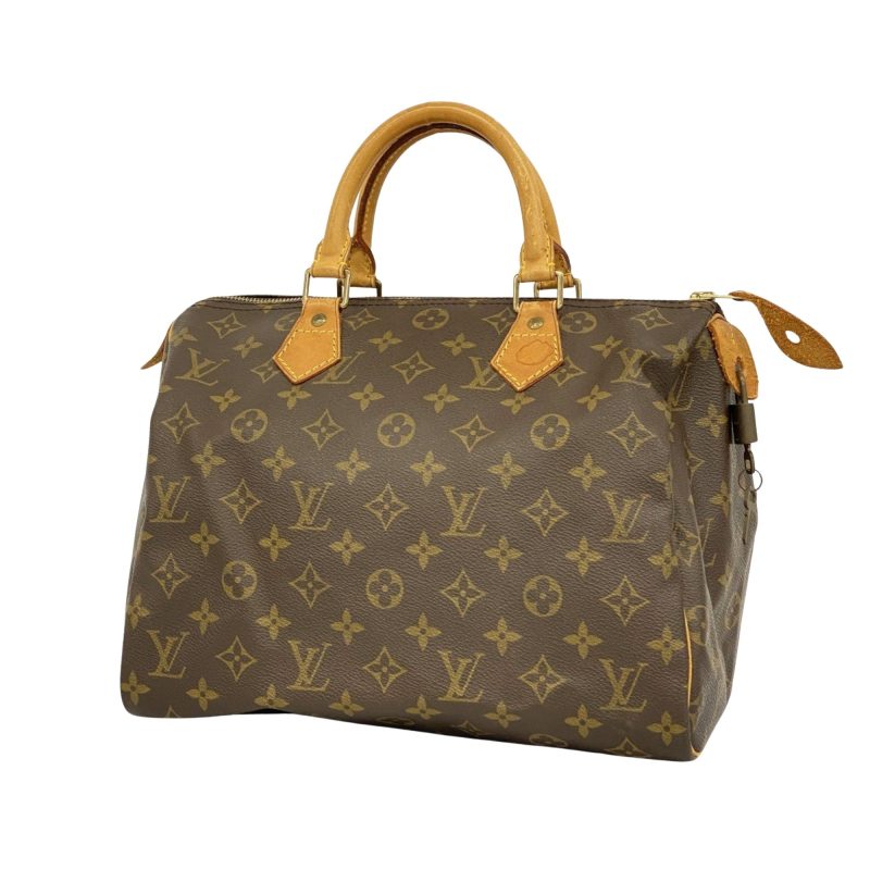 Louis Vuitton Speedy 25  Canvas Handbag - Barde