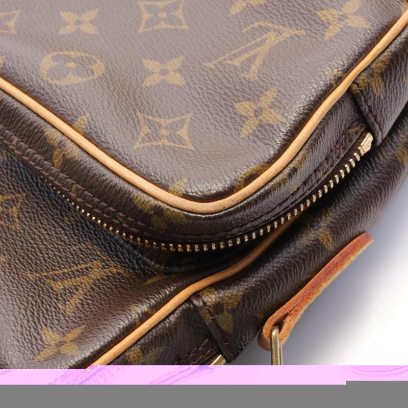 Louis Vuitton Monogram Amazon Shoulder Bag M45236 - Barde - Image 6