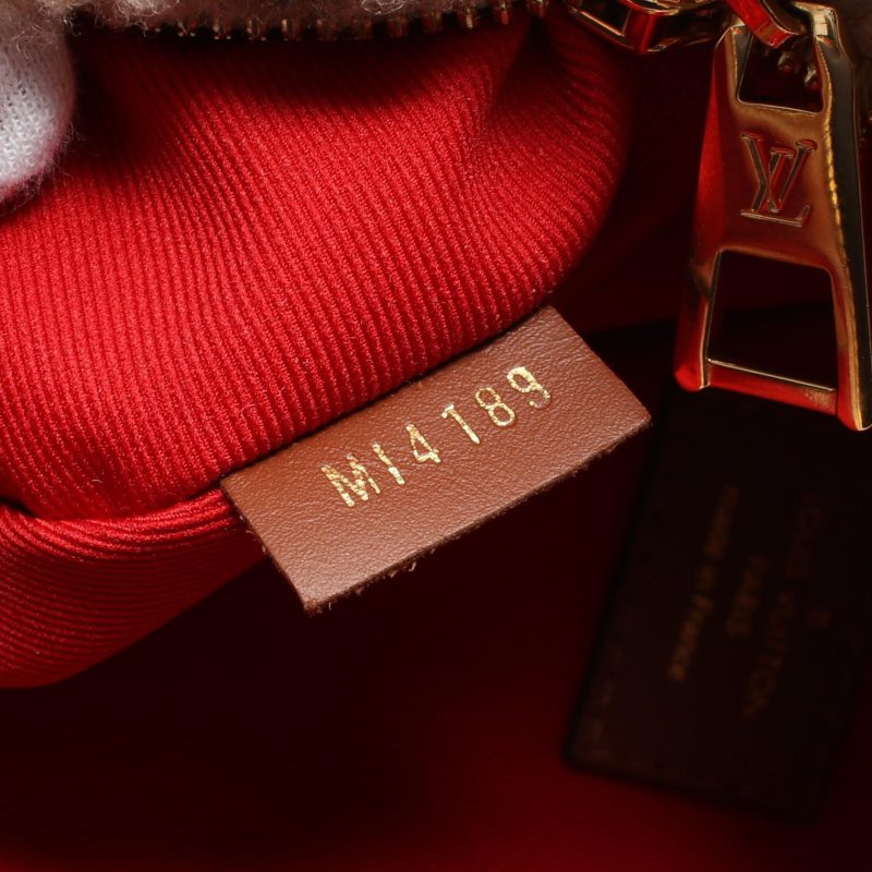 Louis Vuitton Leather Shearling Bum Bag Monogram Teddy - Barde - Image 5