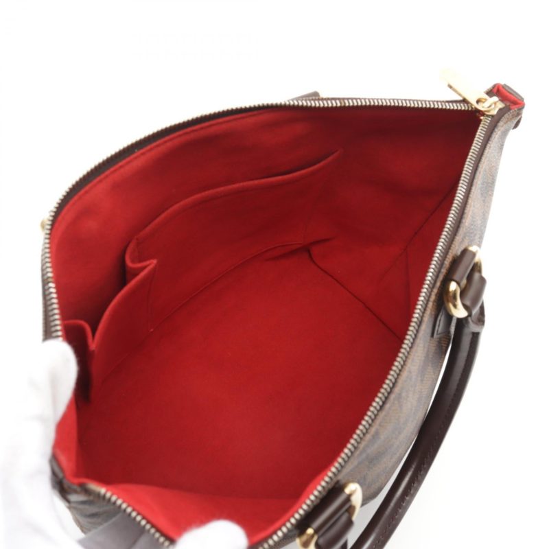 Louis Vuitton Damier Ebene Saleya PM Tote Bag - Barde - Image 3