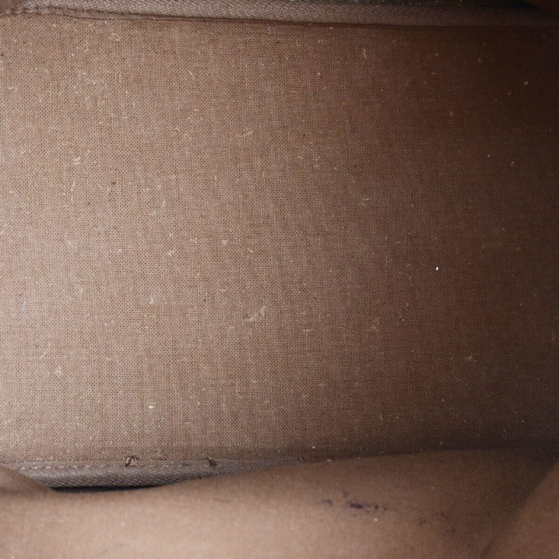 Louis Vuitton Petit Noé  Canvas Shoulder Bag - Barde - Image 5