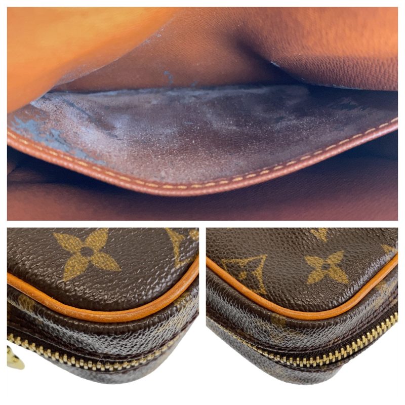 Louis Vuitton Monogram Amazon Shoulder Bag - Barde - Image 6