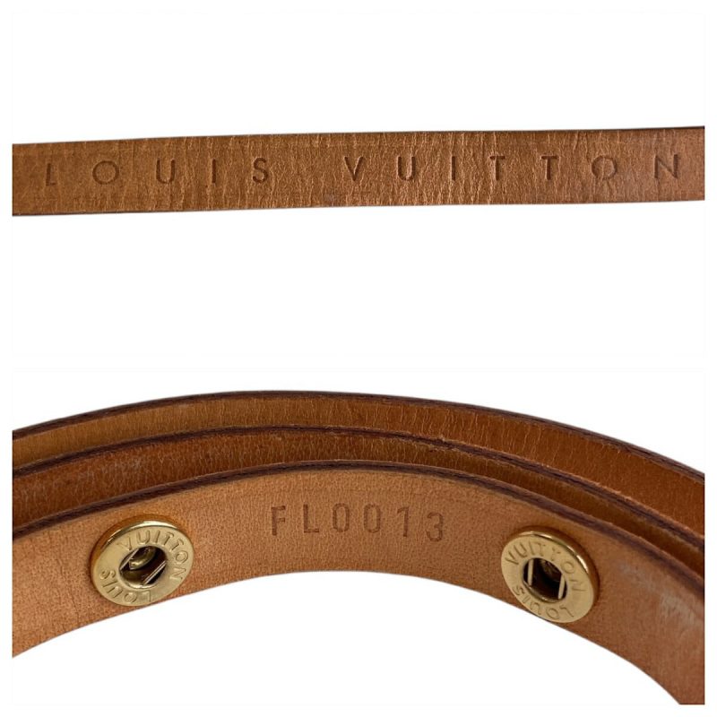 Louis Vuitton Monogram Pochette Florentine Brown Waist Bag - Barde - Image 7