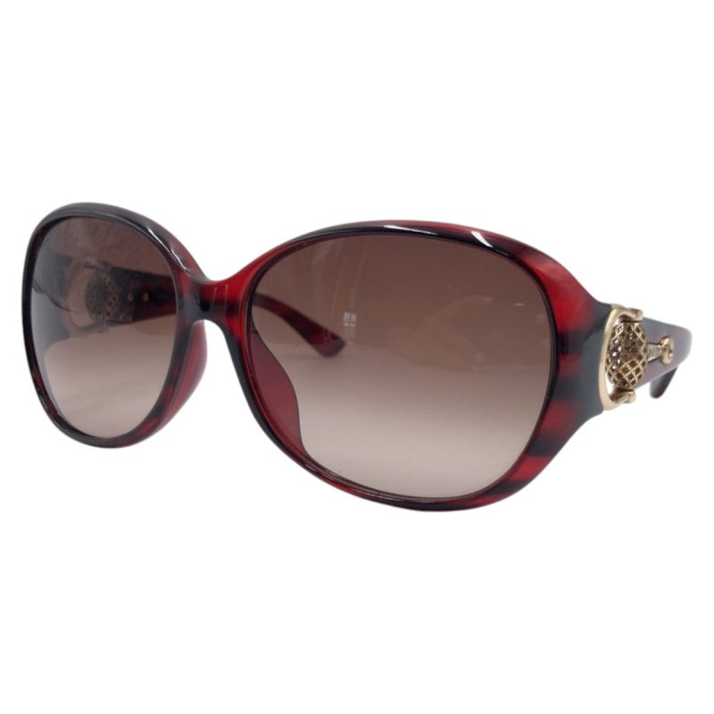 Gucci Horsebit Plastic Sunglasses GG 3726/F/S - Barde