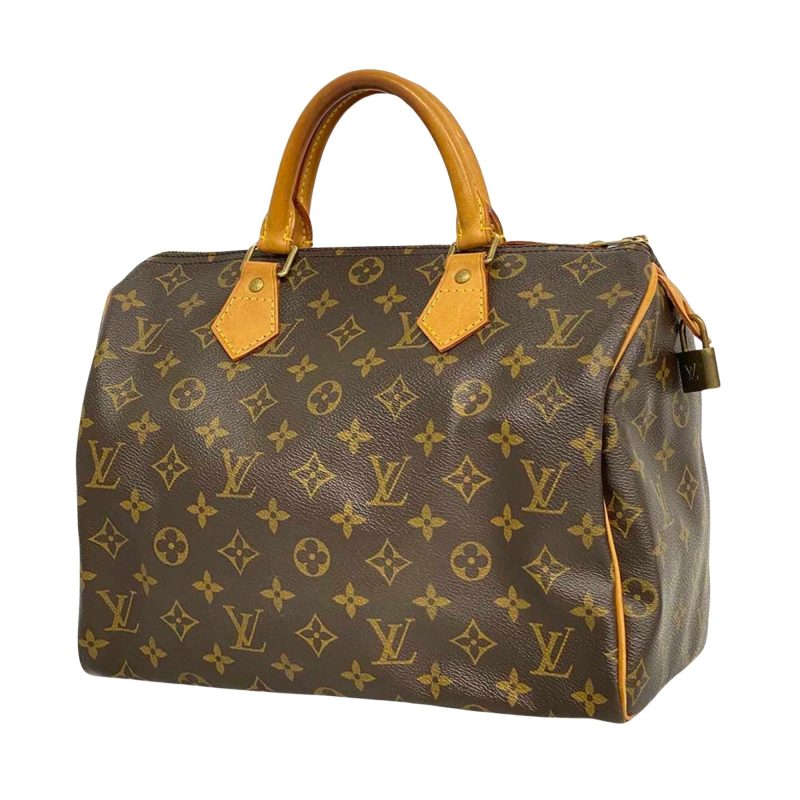 Louis Vuitton Speedy 30  Canvas Handbag - Barde