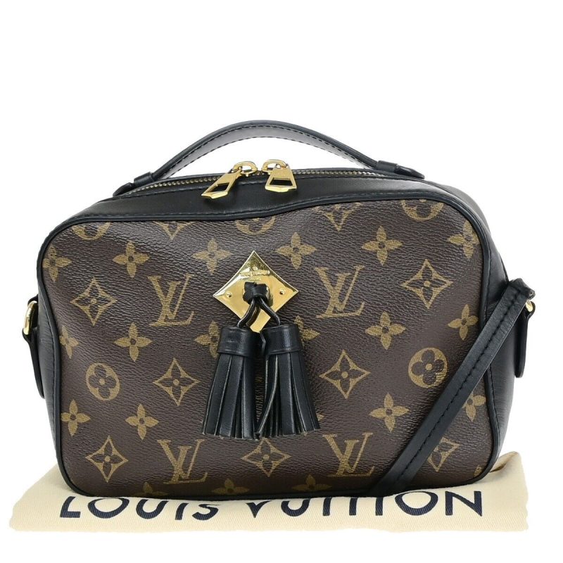 Louis Vuitton Saintonge  Canvas Shoulder Bag - Barde