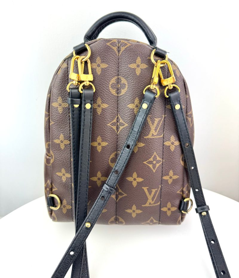 Louis Vuitton Palm Springs Mini Backpack.. - Barde - Image 9