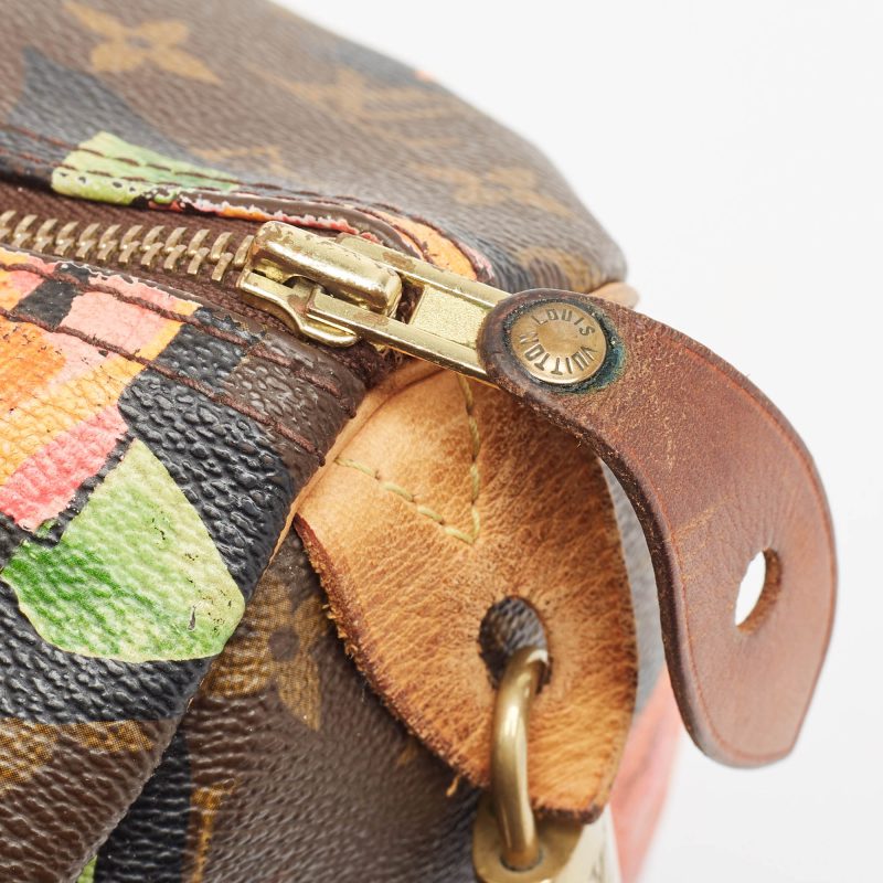 Louis Vuitton Multicolor Monogram Canvas Limited Edition Stephen Sprouse Roses Speedy 30 Bag - Barde - Image 6