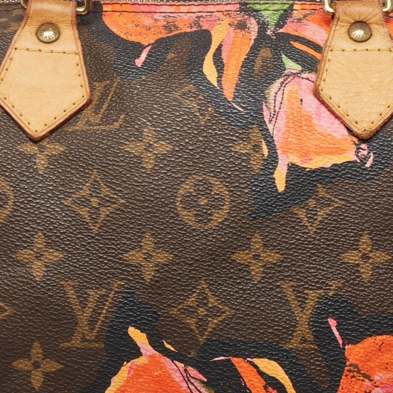 Louis Vuitton Multicolor Monogram Canvas Limited Edition Stephen Sprouse Roses Speedy 30 Bag - Barde - Image 3