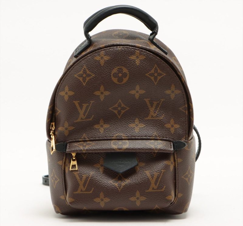 Louis Vuitton Palm Springs backpack - Barde - Image 2