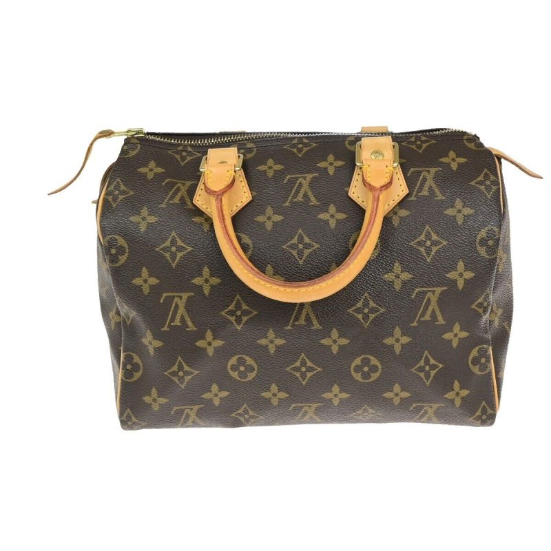 Louis Vuitton Speedy 25  Canvas Handbag - Barde - Image 2