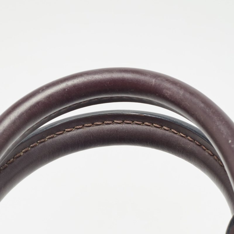Louis Vuitton Quetsche Epi Leather Alma Pm Bag - Barde - Image 6