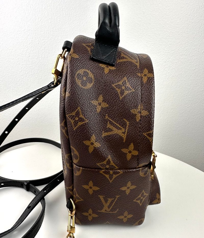 Louis Vuitton Palm Springs Mini Backpack.. - Barde - Image 6
