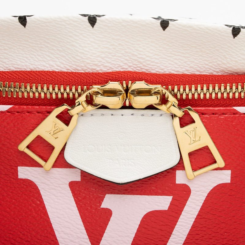Louis Vuitton Giant Monogram Canvas Bumbag (SHF-22487) - Barde - Image 9