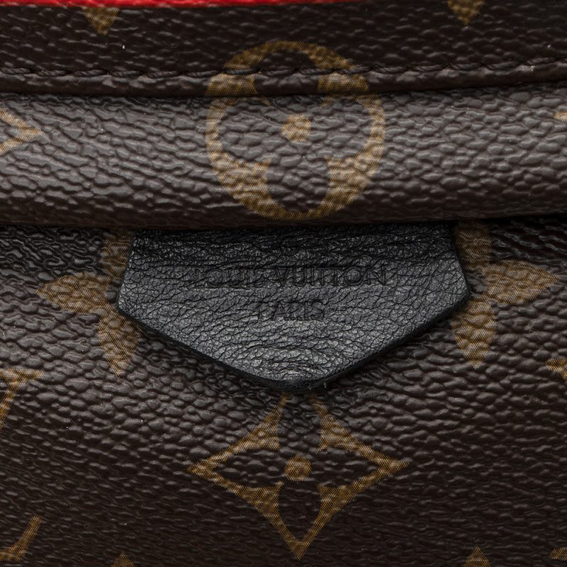 Louis Vuitton Monogram Canvas Palm Springs Mini Backpack - FINAL SALE (SHF-21047) - Barde - Image 9