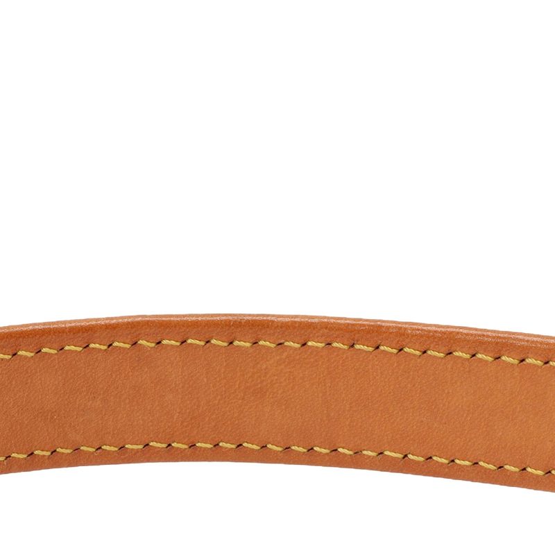 Louis Vuitton Monogram Mat Alston (SHG-36883) - Barde - Image 5
