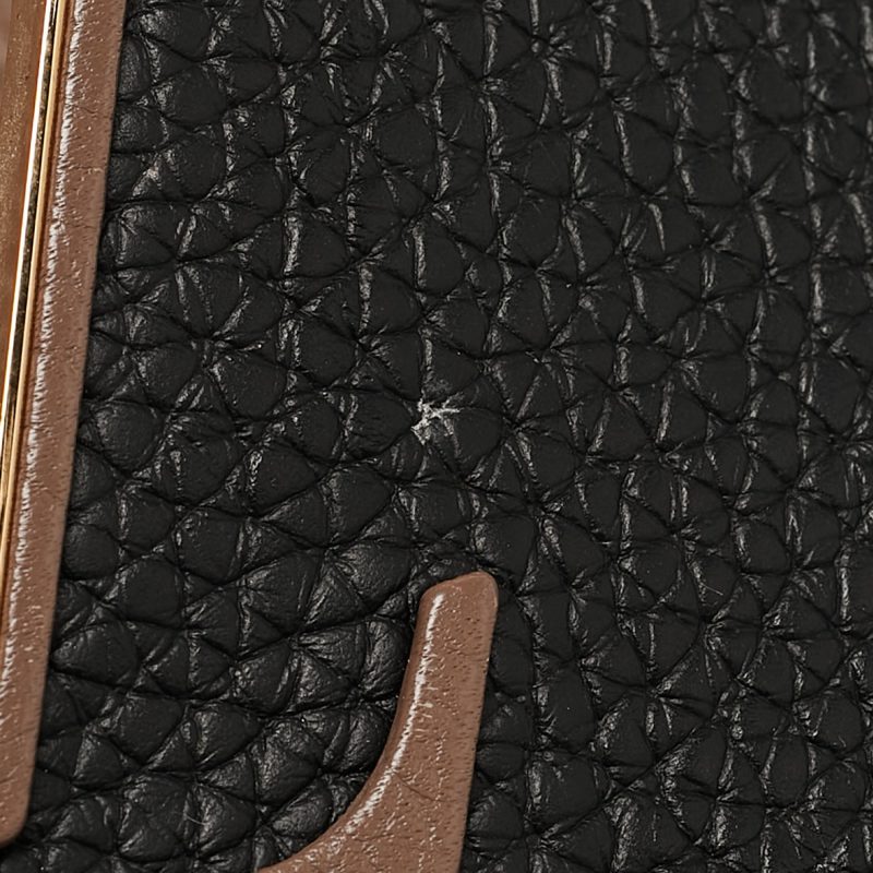 Louis Vuitton Multicolor Taurillon Leather Capucines Pm Bag - Barde - Image 6