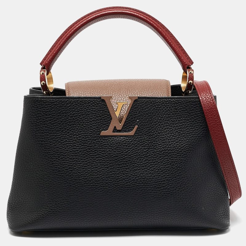 Louis Vuitton Multicolor Taurillon Leather Capucines Pm Bag - Barde