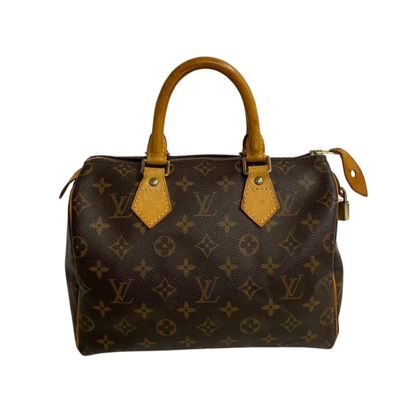 Louis Vuitton Speedy 25  Canvas Handbag - Barde