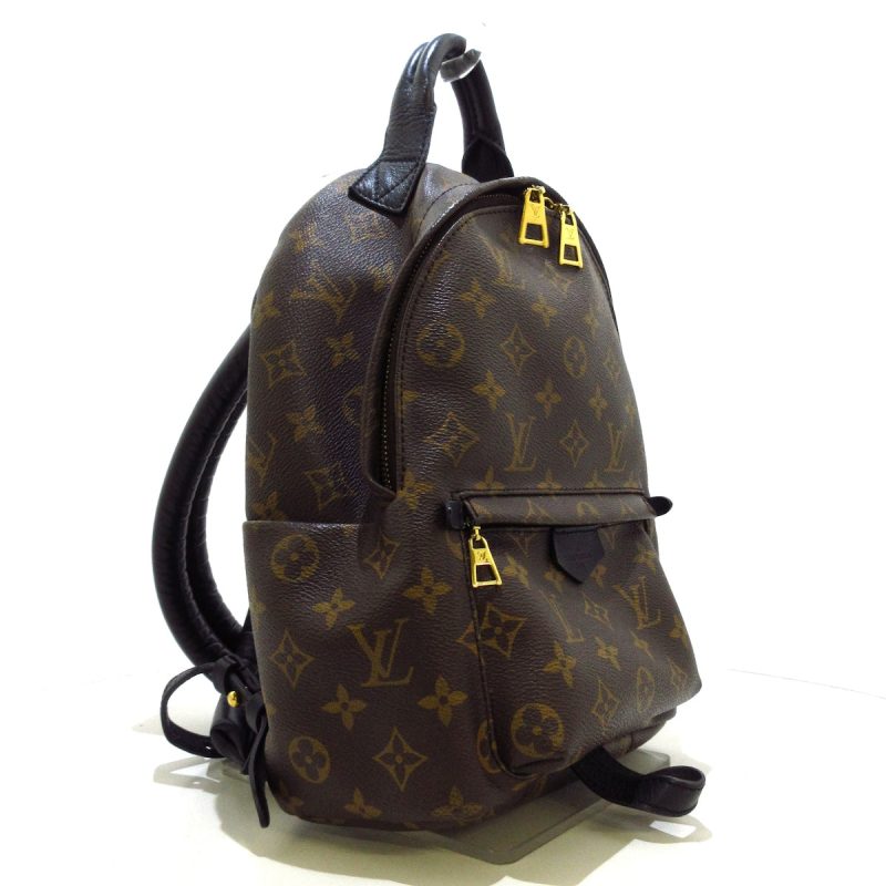 Louis Vuitton Palm Springs  Canvas Backpack Bag - Barde - Image 4