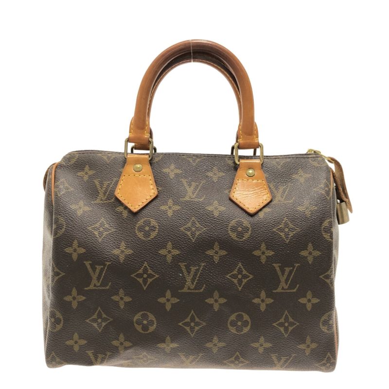 Louis Vuitton Speedy 25  Canvas Handbag - Barde - Image 2
