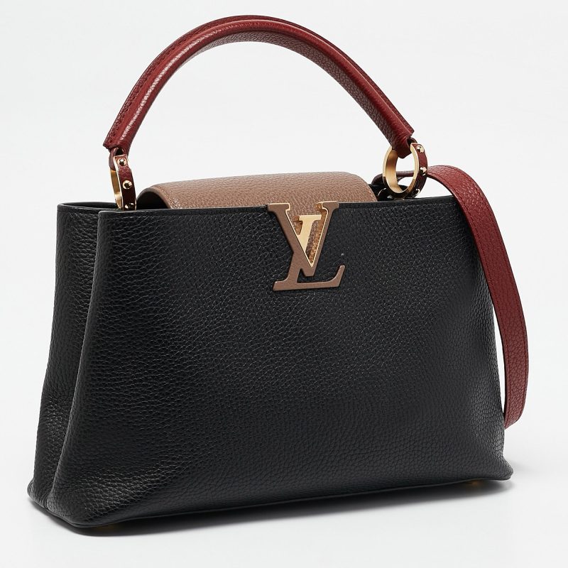 Louis Vuitton Multicolor Taurillon Leather Capucines Pm Bag - Barde - Image 2