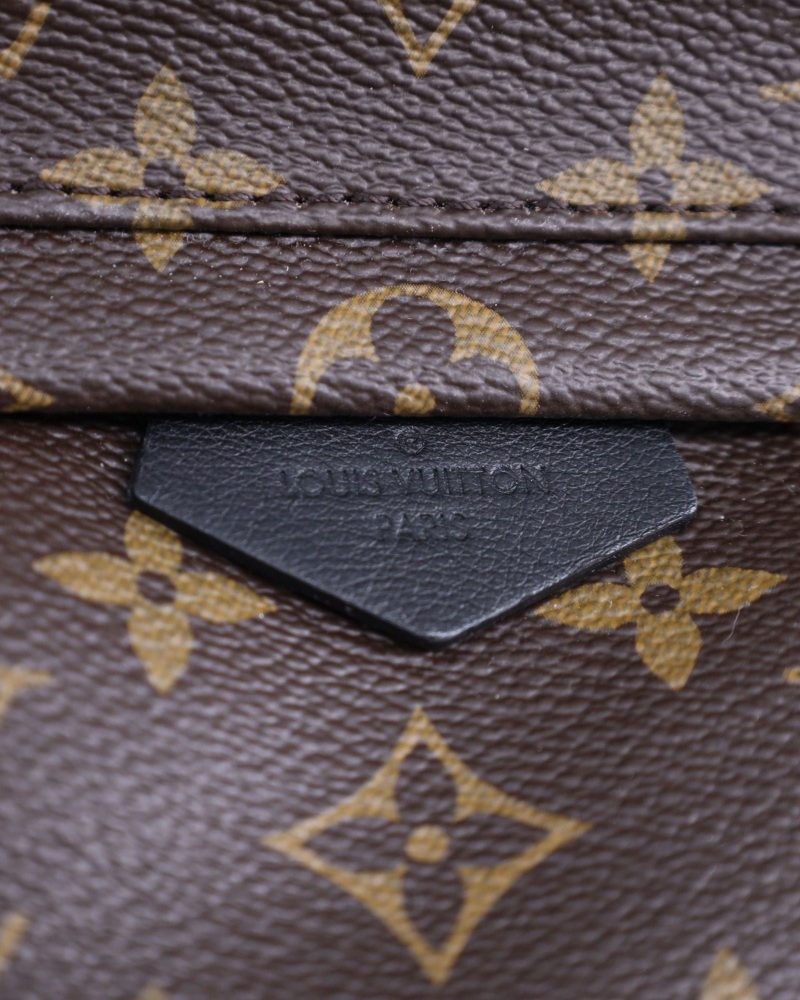 Louis Vuitton Monogram Palm Springs PM Backpack in Brown Coated Canvas - Barde - Image 6