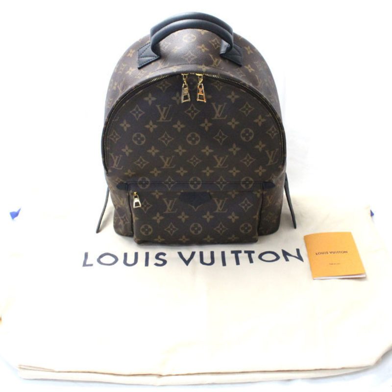 Louis Vuitton Palm Springs Mm  Canvas Backpack Bag - Barde - Image 5