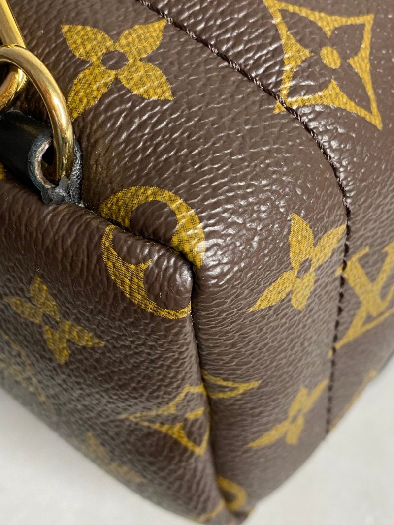 Louis Vuitton Monogram Palm Spring Mini Backpack Bag - Barde - Image 5