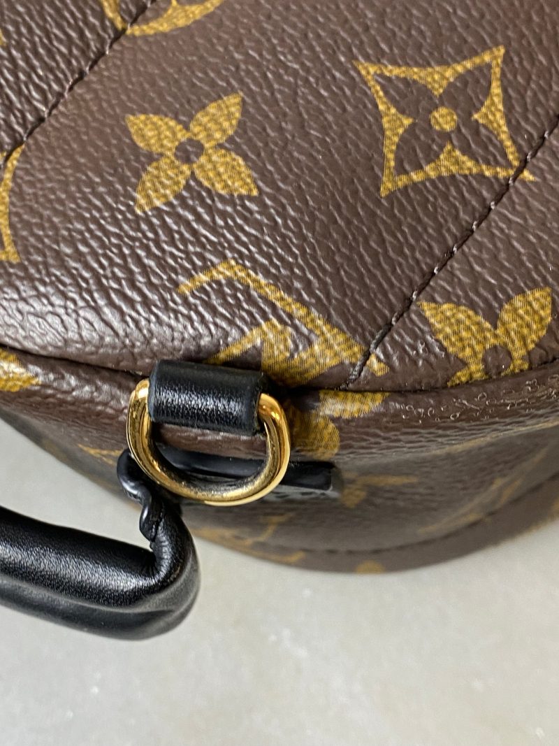 Louis Vuitton Monogram Palm Spring Mini Backpack Bag - Barde - Image 5