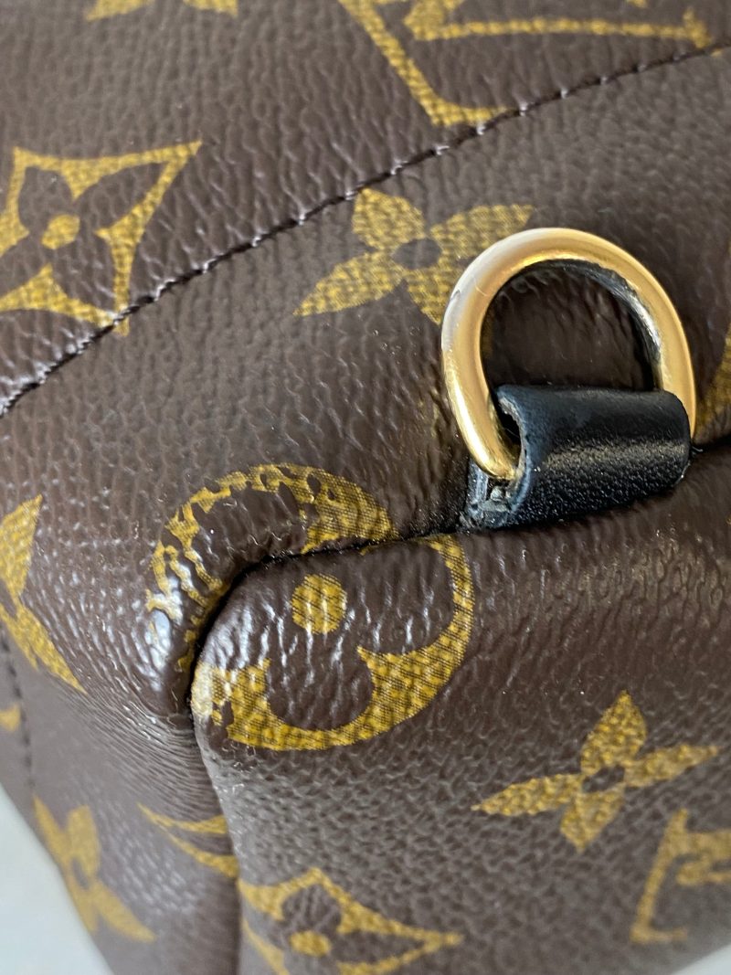 Louis Vuitton Monogram Palm Spring Mini Backpack Bag - Barde - Image 9
