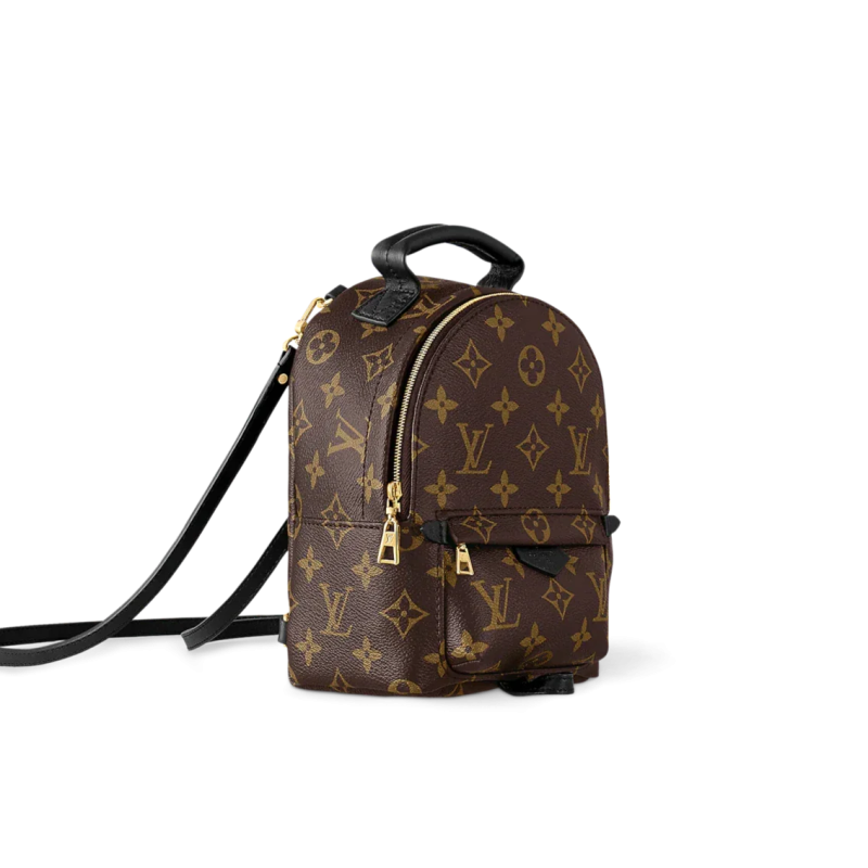 Louis Vuitton Palm Springs backpack - Barde