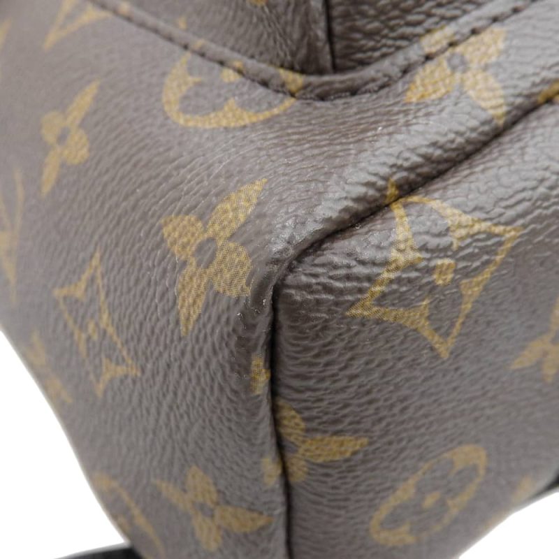 Louis Vuitton Monogram Palm Springs Backpack PM M44871 - Barde - Image 4