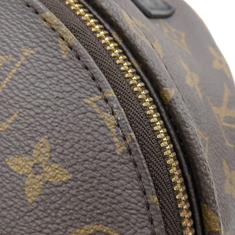 Louis Vuitton Monogram Palm Springs Backpack PM M44871 - Barde - Image 5